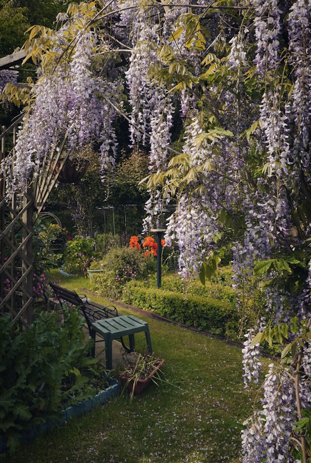 jardin sans entretien